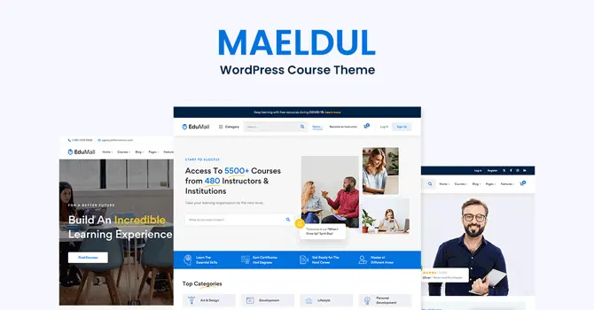 MAELDUL - WordPress Course Theme MAELDUL - WordPress Course Theme